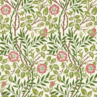 Sweet Briar Boughs/Rose