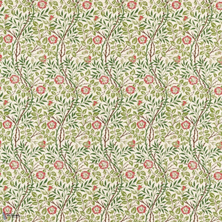 Sweet Briar