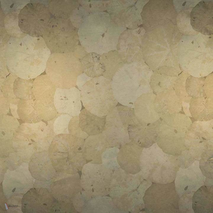 Nympheas wallpaper by Nobilis
