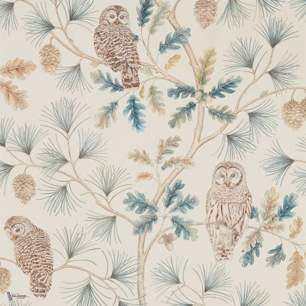 Owlswick wallpaper in Teal van Sanderson