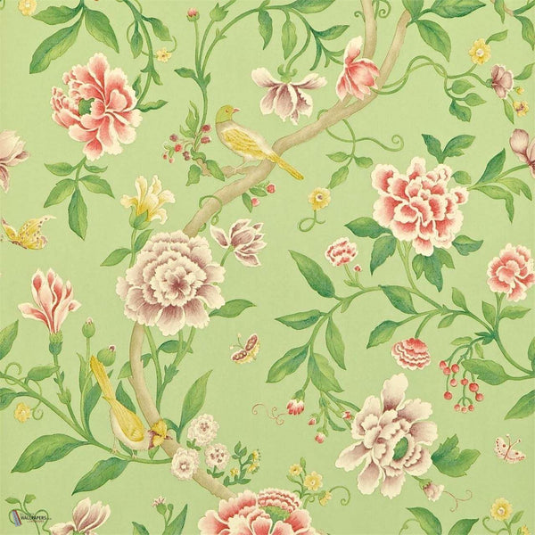 Porcelain Garden wallpaper in Rose/Fennel van Sanderson