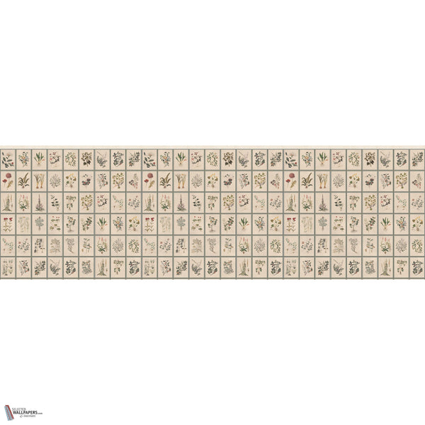 Renaissance Herbier behang in Original van Iksel