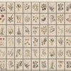 Renaissance Herbier behang van Iksel — Original, detail