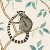 Ringtailed Lemur wallpaper in Stone van Sanderson