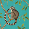 Ringtailed Lemur wallpaper in Teal van Sanderson
