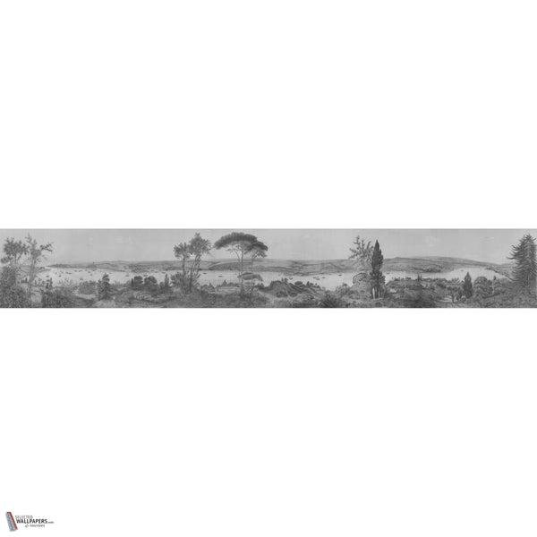 Romantic Bosphorus Tapete in Grey Tones von Iksel