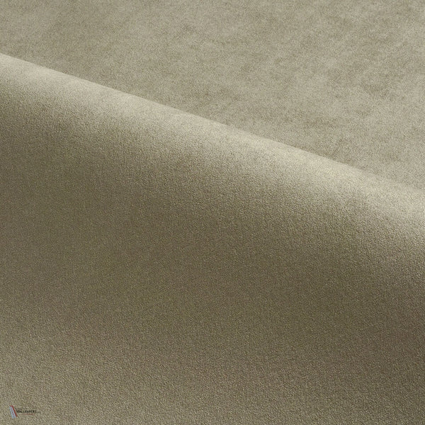 roomshot