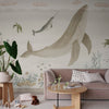 Sally interieur