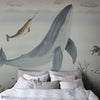 Sally interieur