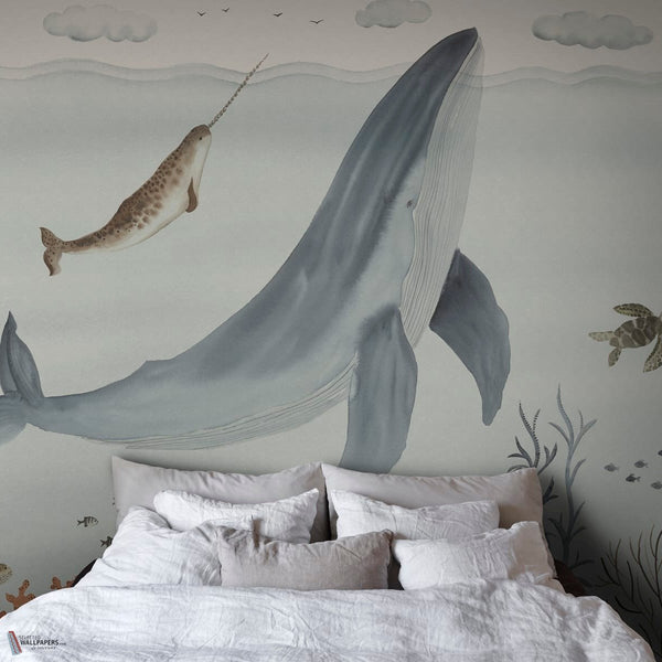 Sally interieur
