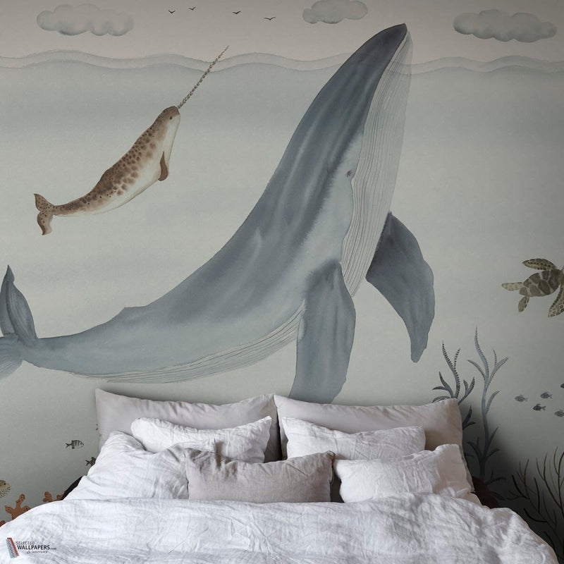 Sally interieur