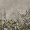 Salvia