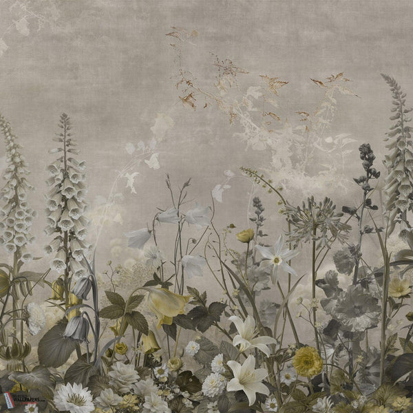 Salvia