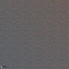 Samphire behang in Stiffkey Blue van Farrow & Ball