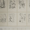 Botanica Tapete von Sandberg