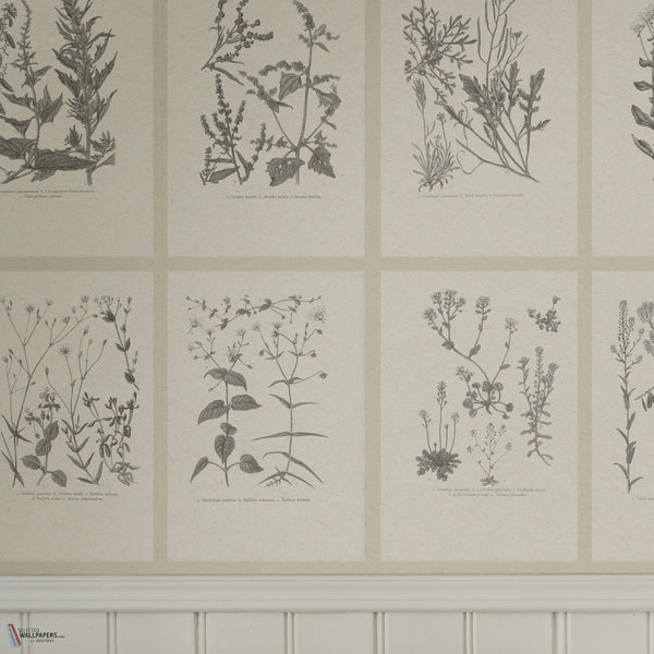 Botanica Tapete von Sandberg