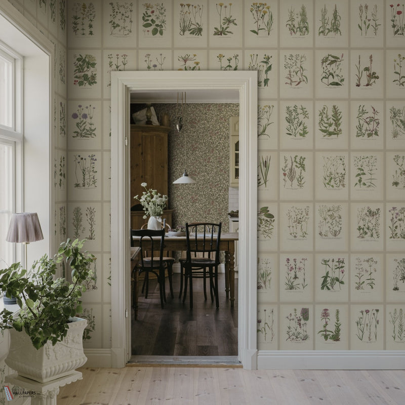 Botanica wallpaper by Sandberg