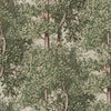 Charles carta da parati in Green di Sandberg