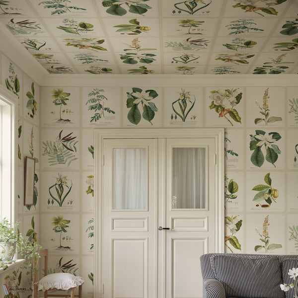 Flora wallpaper by Sandberg