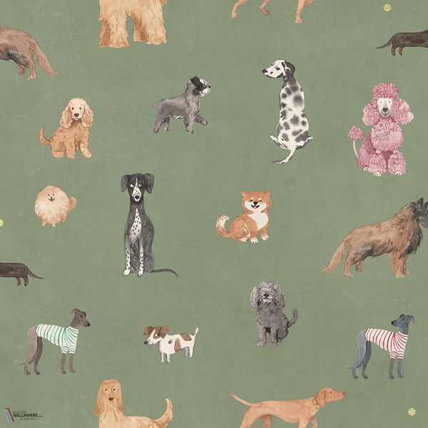 Taiga And Friends papier peint en Green de Sandberg