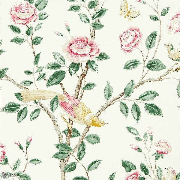 Andhara papier peint en Rose/Cream de Sanderson