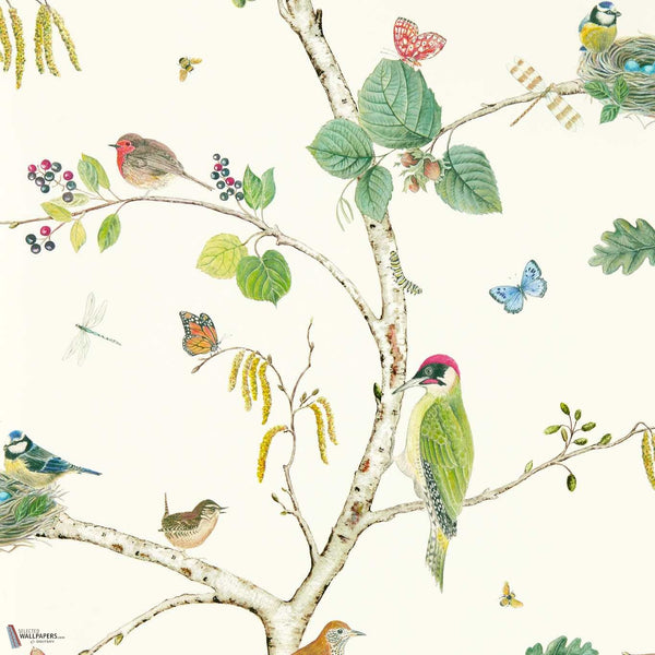 Woodland Chorus papier peint en Botanical/Multi de Sanderson