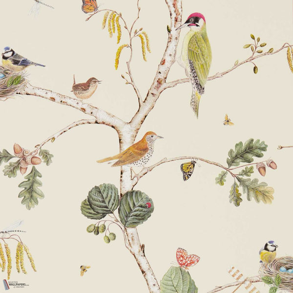 Woodland Chorus papier peint en Cream/Multi de Sanderson