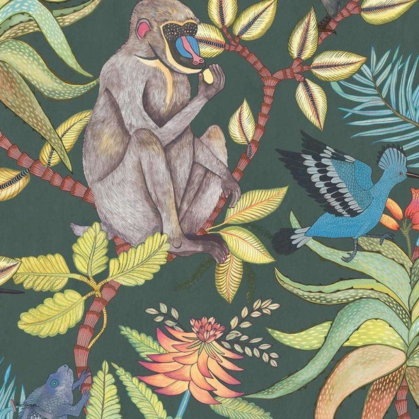 Savuti behang in Multi on Dark Viridian van Cole & Son