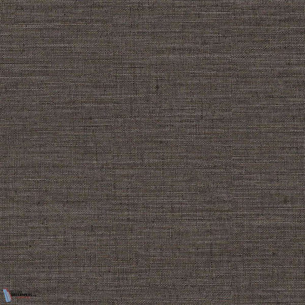 Sisal behang in Brown van Texam