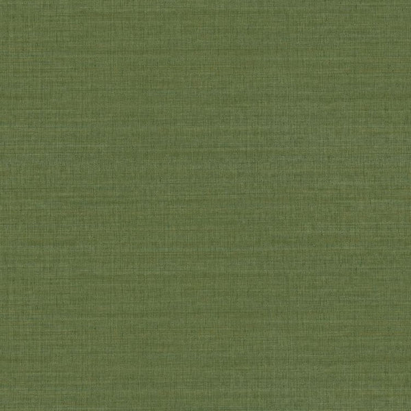 Sora wallpaper in 50 by Casamance