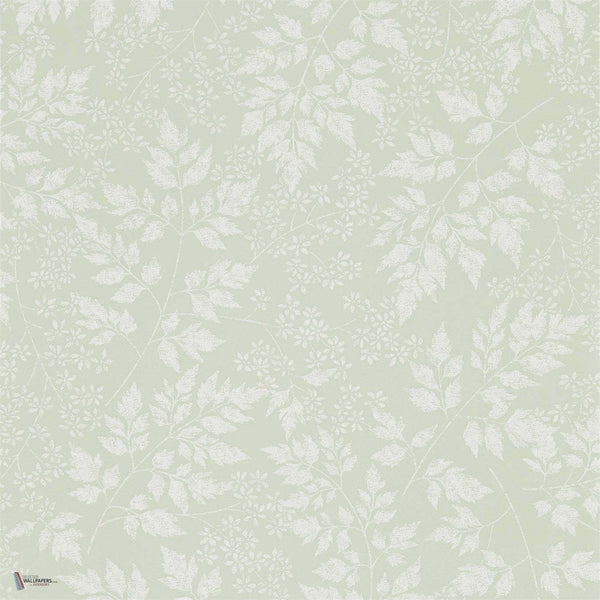 Spring Leaves wallpaper in Celadon van Sanderson