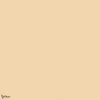 Stone Pale Warm paint Little Greene 34-Selected-Wallpapers-Interiors