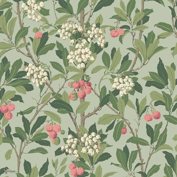 Strawberry Tree behang in Chalk Rose & Forest Green van Cole & Son