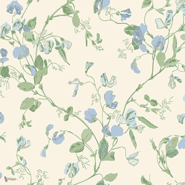 Sweet Pea behang in Cerulean & Sky on White van Cole & Son