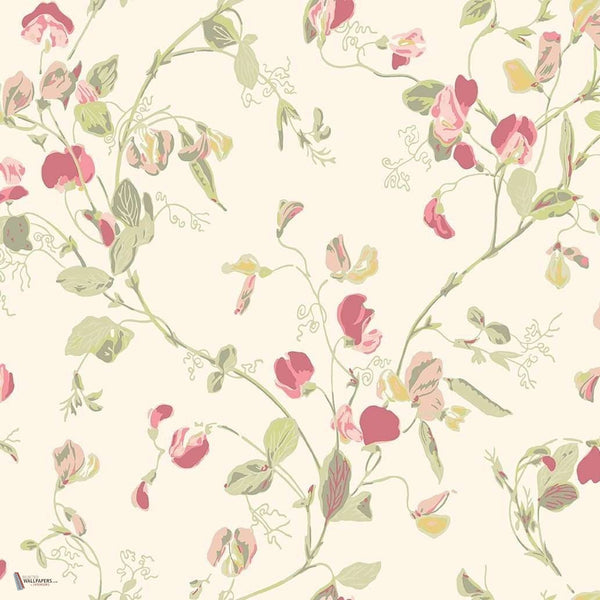 Sweet Pea wallpaper in Coral & Olive van Cole & Son