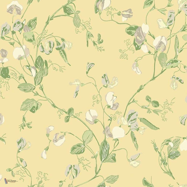 Sweet Pea wallpaper in Grey & Lime van Cole & Son