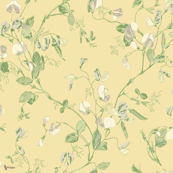 Sweet Pea behang in Grey & Lime on Yellow van Cole & Son