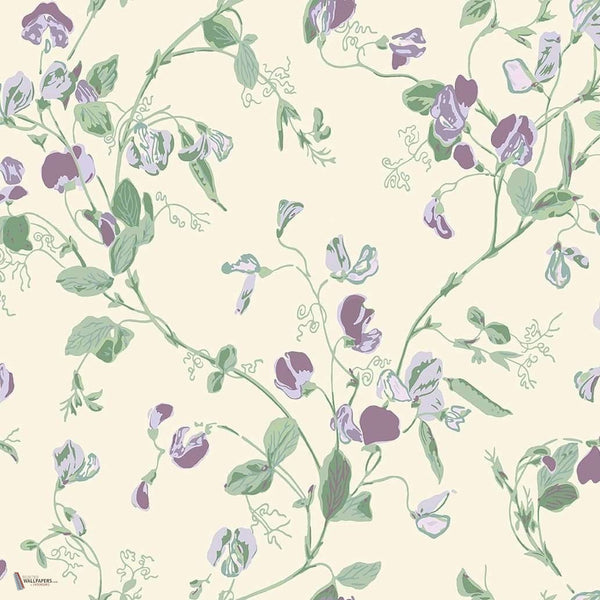 Sweet Pea wallpaper in Mulberry & Sage van Cole & Son
