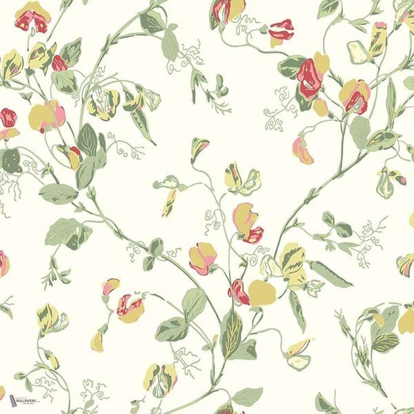 Sweet Pea wallpaper in Yellow & Coral van Cole & Son