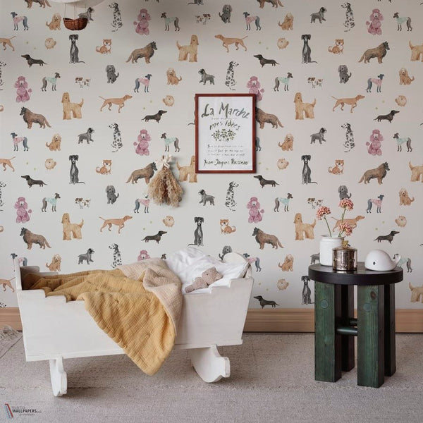 Taiga and Friends interieur