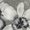 Alya behang in Graphite van Tecnografica — kleurstaal