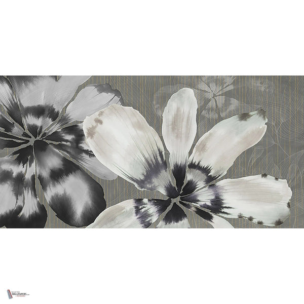 Alya behang in Graphite van Tecnografica — volledig ontwerp