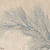 Atollo wallpaper in Coral by Tecnografica — colour swatch