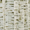 Birch Wood wallpaper in Moss by Tecnografica — colour swatch