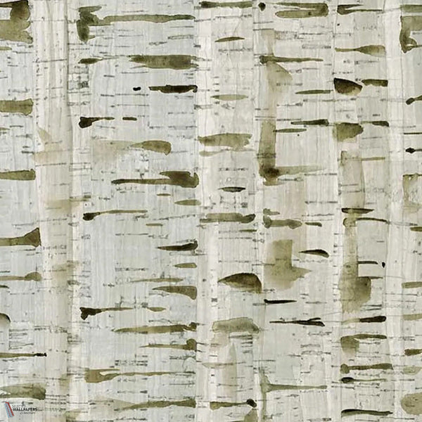Birch Wood wallpaper in Moss by Tecnografica — colour swatch