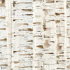 Birch Wood Tapete in Natural von Tecnografica — Farbmuster