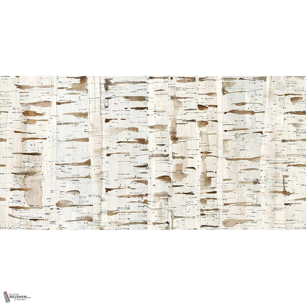 Birch Wood wallpaper in Natural by Tecnografica — full design