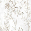 Branches wallpaper in Brown by Tecnografica — colour swatch
