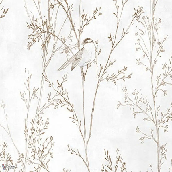 Branches wallpaper in Brown by Tecnografica — colour swatch