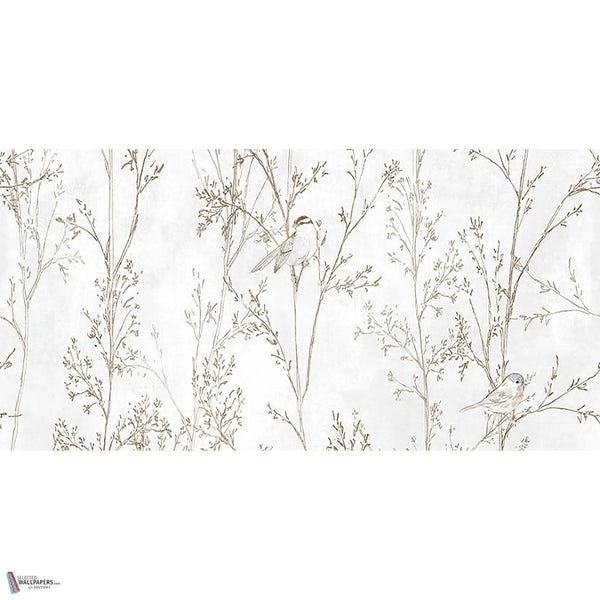 Branches wallpaper in Brown by Tecnografica — full design